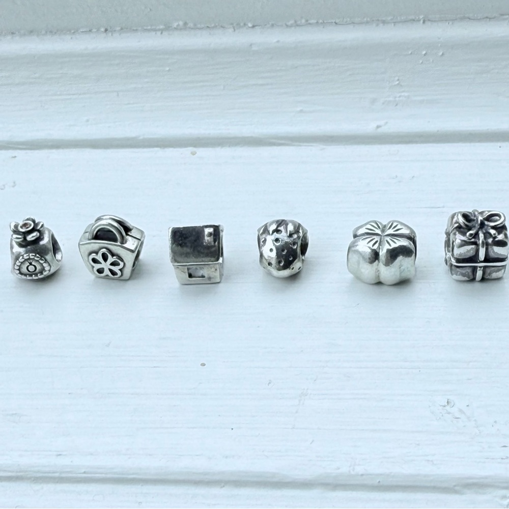 Pandora Silver Charm Beads Set
